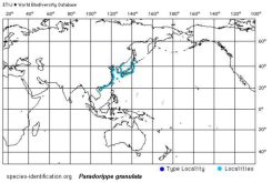 Distribution