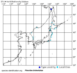 Distribution