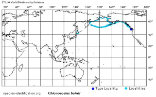 Distribution