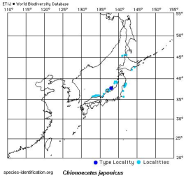 Distribution of Chionoecetes japonicus