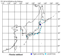 Distribution of crab Pinnixa rathbuni